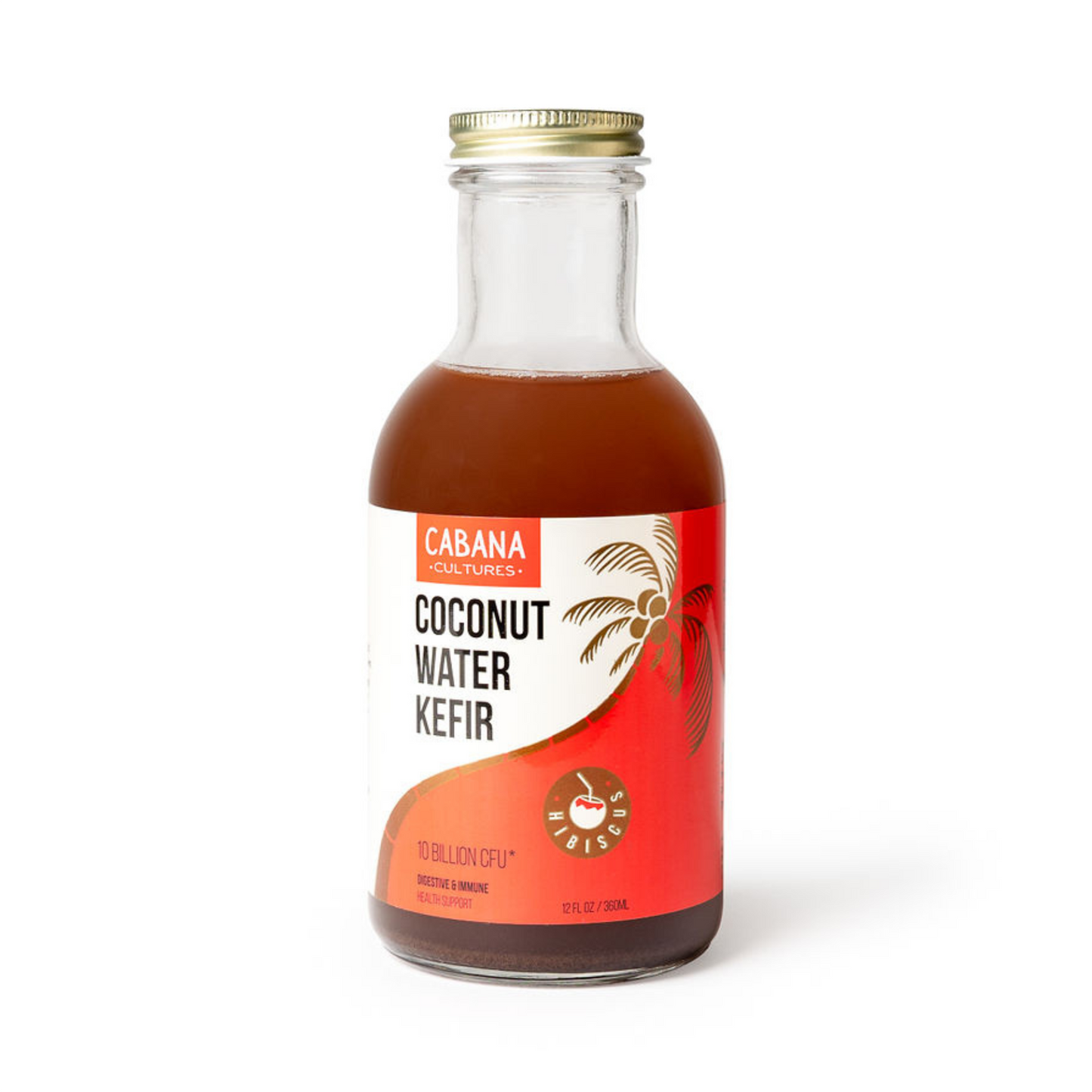 Organic Coconut Water Kefir