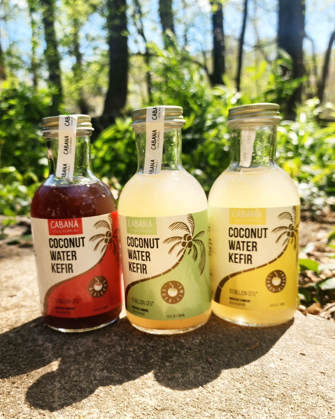 Organic Coconut Water Kefir